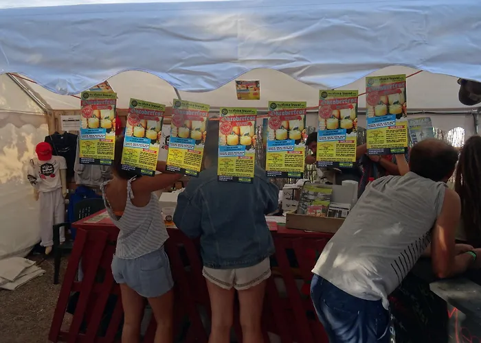 Valencia Festival Camping
