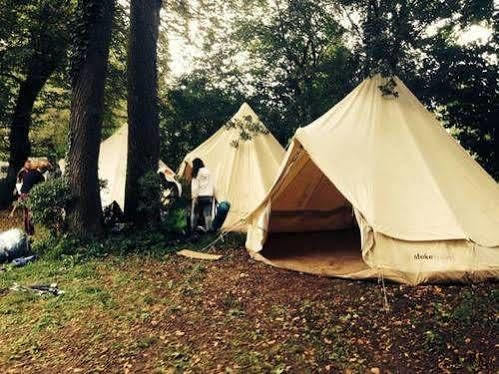 Hotel Festival *